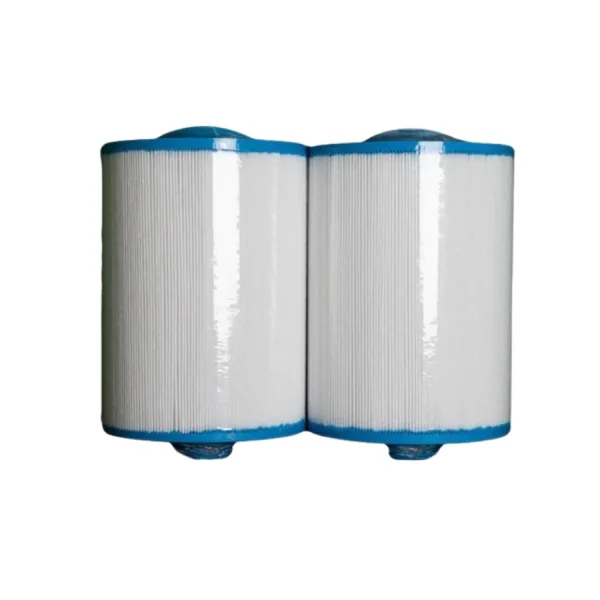 Endless Pools Filter 2-pack