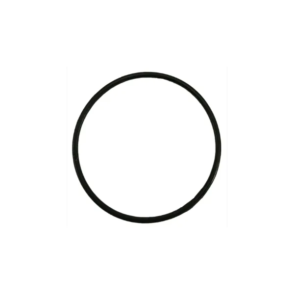 2" O-ring till Waterway ventil mfl.