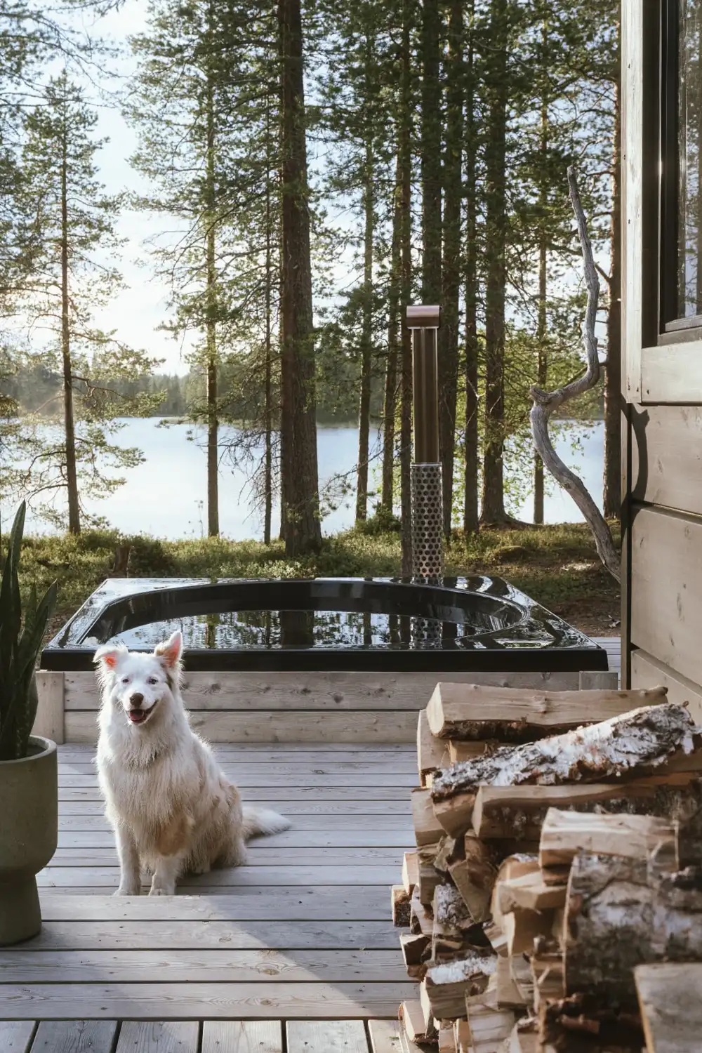 Drop Design Spa, svart bad på trädäck med hund och ved