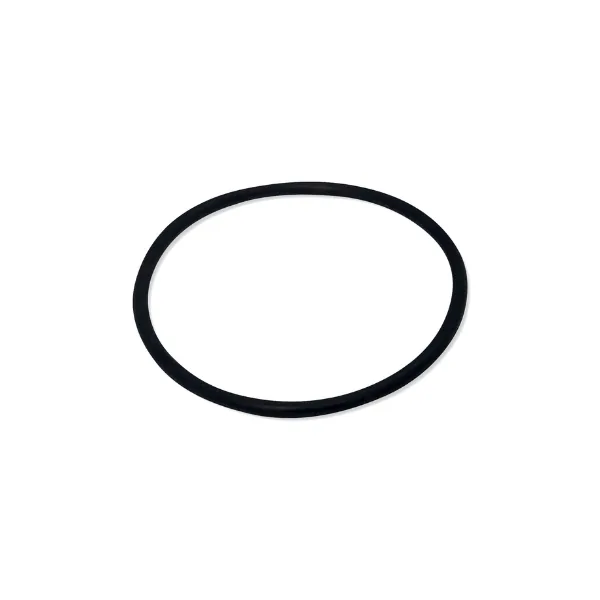 O-ring 2" till pump-/värmeunion